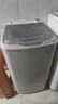 志高【熱銷Top1】脫水機單甩干脫水機干桶甩干機小型迷你家用甩干桶出租房宿舍大容量脫水桶烘干 8.6KG 【不銹鋼桶加厚款】質(zhì)保三年 曬單實拍圖