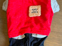 憨憨寵 寵物狗狗衣服小型犬泰迪衣服冬季狗衣服小狗衣服透氣四腳棉衣 紅色款 M號建議體重5-8斤 曬單實(shí)拍圖