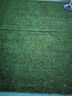萌肉居 仿真草坪加密假草塑料室內幼兒園操場(chǎng)人工草坪25mm厚春草1P 曬單實(shí)拍圖