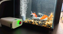 龍王恨氧氣泵釣魚(yú)箱兩用大氣量單雙孔增氧泵USB充電靜音戶(hù)外釣魚(yú)增氧機 單孔/間歇續航40H/增氧LWH-3 曬單實(shí)拍圖