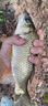 川澤路滑魚(yú)漂線(xiàn)組套裝日夜兩用遠投夜光浮漂磯竿線(xiàn)組成品魚(yú)漂主線(xiàn)套裝 1.5#線(xiàn)組+PC12圓尾吃鉛5克 日夜兩用【不變色】醒目加粗 曬單實(shí)拍圖