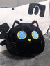 派客思 可愛(ài)抱枕床頭大靠墊靠背可愛(ài)靠枕汽車(chē)寢室臥室宿舍抱著(zhù)睡覺(jué)女生 圓球黑貓 小號30CM 曬單實(shí)拍圖