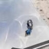 海盜船銀飾精靈耳墜女時尚銀耳飾2023年新款耳環(huán)小眾設計高級感七夕禮物 精靈耳墜藍色單只（PER0363） 曬單實拍圖