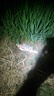 颶利強鰱鱅釣組翻板鉤爆炸鉤套裝海桿翻版魚(yú)鉤水怪餌籠大肚漂方塊餌專(zhuān)用 翻版鉤鰱鳙釣組9#/2套 曬單實(shí)拍圖