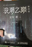 【包郵】浪潮之巔 第四版 上下冊 全套2本 吳軍著(zhù) 谷歌科學(xué)家騰訊副總裁 互聯(lián)網(wǎng)及IT行業(yè)的興衰變化 云計算 曬單實(shí)拍圖