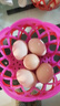 云依禾農莊 散養雞蛋新鮮現撿土雞蛋谷物蟲(chóng)草柴雞蛋笨雞蛋生鮮 【鮮雞蛋】10枚 曬單實(shí)拍圖