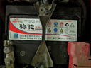 駱駝汽車電瓶蓄電池免維護(hù)55D23東南V3菱悅/V5菱致/V6菱仕 菱動(dòng) 菱利 曬單實(shí)拍圖