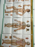 經(jīng)絡(luò )穴位掛圖（第4版） 曬單實(shí)拍圖
