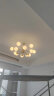 雷士（NVC）吊灯魔豆分子灯黄铜客厅卧室书房餐厅北欧灯具灯饰创意现代轻奢 实拍图