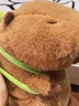 獅勒土撥鼠玩偶卡皮巴拉水豚君公仔倉鼠毛絨玩具女孩娃娃搞怪生日禮物 #1#【六一兒童節(jié)禮物】 約40c·m[公仔+背包]780g 曬單實拍圖
