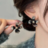 伊燦黑色鋯石花朵耳釘女小眾設計感高級感通勤耳環(huán)2025年新款氣質(zhì)耳飾 黑色鋯石花朵耳釘 曬單實(shí)拍圖