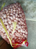 良知农哥 新果 新鲜银杏果生白果 鲜果仁 5.5斤带壳（带夹子食谱） 实拍图