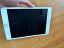【上門取送】ipad/mini維修換屏幕蘋果平板北京深圳上海到店/寄修 iPadMini5 更換外屏（到店/寄修） 曬單實拍圖
