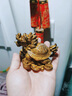 傳承令茶寵擺件貔貅龍龜進(jìn)寶茶桌茶盤(pán)茶臺(tái)茶具配件變色茶玩可養(yǎng)送領(lǐng)導(dǎo) 變色金龍龜 曬單實(shí)拍圖