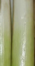 密農(nóng)人家 農(nóng)家大蔥 新鮮蔥 鐵桿大蔥 蔥味濃郁 新鮮大蔥 去葉做餡 大蔥5斤 大蔥 5斤 曬單實(shí)拍圖