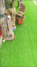 婉和 仿真草坪人造假草皮绿植地毯室外户外阳台绿植塑料假草皮草坪垫 加厚加密20mm/1平方 实拍图