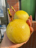 閩域尋鮮欽蜜黃金百香果【多地次日達】百香水果當季新品禮品百香果 3斤【單果45-60g】?jì)糁?.5斤 曬單實(shí)拍圖