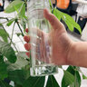 塔馳密司（TOUCH MISS）男士雙層玻璃杯高檔浮雕生肖杯子辦公室水晶過濾泡茶杯車載水杯 辰龍-禮盒包裝【配杯套杯刷】 曬單實拍圖