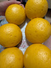 嶗味道山東青島嶗山王哥莊鐵鍋大饅頭200g/個(gè)面食北方特產(chǎn)饃饃膠東餑餑 白面饅頭200g*10 曬單實(shí)拍圖