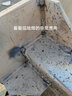 滬工無(wú)氣二保焊機一體機不用氣250電焊220v家用兩用工業(yè)級315雙電壓 標配【250四用升級款220V】 曬單實(shí)拍圖