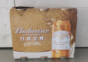 百威金尊拉格啤酒单一品种麦芽500ml*18听啤酒整箱装五一出游 实拍图