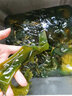 頂吉漁海帶苗嫩特非干貨級(jí)新鮮小海帶芽鹽漬煮湯涼拌菜霞浦海帶 海帶苗250g*2包（到手一斤） 曬單實(shí)拍圖