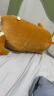 名创优品（MINISO）柴犬系列毛绒公仔趴姿玩具娃娃抱枕睡觉室内卧室办公室生日礼物 实拍图