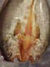 鮮喜利黃魚(yú)鲞新鮮冷凍三去大黃魚(yú)生鮮海魚(yú)開(kāi)背黃花魚(yú)寧德小黃魚(yú)鮮活海鮮 【250g*3條】三去開(kāi)背 免洗免殺 曬單實(shí)拍圖