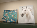 史歷克 數字油畫(huà)diy動(dòng)物白馬手工填色油畫(huà)現代簡(jiǎn)約減壓涂色畫(huà) FZ-19198 60*75cm 彩布(要自己涂色) 曬單實(shí)拍圖