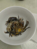 醉蟹白玉蟹即食生腌海鮮寧波嗆蟹鮮活發(fā)財(cái)一元小螃蟹蟛蜞下酒冷菜 花雕白玉蟹900克 曬單實(shí)拍圖