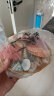 派乐特 贝壳鱼缸造景装饰摆件套餐水族箱底沙砂石海螺 含篮子 晒单实拍图