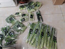 地之源有機(jī)油菜  有機(jī)上海青  基地現(xiàn)摘現(xiàn)發(fā) 500g 曬單實(shí)拍圖