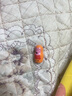 莊子然俄羅斯套娃玩具兒童創(chuàng)意彩繪木質(zhì)手工紀念擺件六一兒童節(jié)禮物 【小豬一家】10層木質(zhì)彩繪套娃 曬單實拍圖