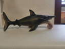 林暢模玩白堊紀兒童恐龍玩具影版海底生物仿真動(dòng)物史前巨獸海洋模型手辦 旋齒鯊 曬單實(shí)拍圖