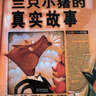 【新華正版】快樂讀書吧二年級上 小鯉魚跳龍門歪腦袋木頭樁孤獨的小螃蟹小狗的小房子一只想飛的貓 二年級上冊課外推薦閱讀必讀課外書 可選: 【課外拓展】】三只小豬的真實故事 謝斯卡文 曬單實拍圖