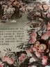 【新華正版】狐貍家 西游記繪本 幼兒版漫畫(huà) 0-3-6-7歲早教啟蒙閱讀睡前童話(huà)書(shū) 【全3冊】11-13 曬單實(shí)拍圖