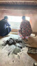加厚鋁合金天窗斜屋頂閣樓陽(yáng)光房電動(dòng)地下室采光井檢修口蓋板定制 手動(dòng)加厚款68*88帶帶排水板 曬單實(shí)拍圖