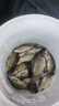 民間藝人魚(yú)鉤綁好短子線(xiàn)雙鉤成品套裝釣魚(yú)金袖鉤有刺金海夕漁具野釣鯽魚(yú)鉤 曬單實(shí)拍圖