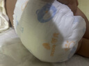 蓓秀【高品質(zhì)】山茶油嬰兒紙尿褲尿不濕新生兒柔薄透氣干爽防過(guò)敏 紙尿褲M(mǎn)100片1箱 曬單實(shí)拍圖