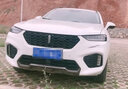 百繪彩專(zhuān)用長(cháng)城魏派VV5汽車(chē)補漆筆白色6車(chē)漆劃痕修復神器7珍珠白坦克300 雪域白/珍珠白-VV6 VV7 VV5 【簡(jiǎn)易修復】補漆筆+砂紙 曬單實(shí)拍圖
