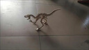 齊峰3d立體拼圖積木玩具擺件恐龍模型木質兒童成人拼插動物diy禮物 恐龍10款 曬單實拍圖