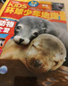 【滿(mǎn)200減100】KiDS環(huán)球少年地理雜志鋪 2026年1月起訂閱 1年共12期 6-12歲兒童科普百科雜志 少兒地理百科通識 美國國家地理少兒版版權合作 雜志鋪雜志訂閱中小學(xué)生課外閱讀 曬單實(shí)拍圖