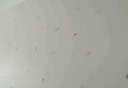 菲翔（Fixsheet）兒童房布置墻紙自粘墻貼墻壁貼紙壁紙臥室背景墻裝飾防水防潮防霉 獨(dú)角獸(抗菌環(huán)保，孕嬰材質(zhì)) 1卷 (每卷50cm寬X2.8米長(zhǎng)) 曬單實(shí)拍圖