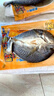 胖子大黃魚(yú)鲞袋裝風(fēng)干黃花魚(yú)干寧波特產(chǎn)海鮮干貨舟山咸魚(yú)海魚(yú)白鲞 新曬黃魚(yú)鲞600克 袋裝 曬單實(shí)拍圖