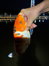 達(dá)摩浮漂輕口鯽魚漂高靈敏咬鉤變色鯉魚綜合日夜兩用電子夜光漂 DL-12【底釣羅非咬鉤變色】 1號 曬單實(shí)拍圖