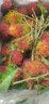 舅甜果蔬正宗海南紅毛丹（順豐空運可送到家）7號紅毛丹鮮果樹(shù)熟毛荔枝 5斤（凈重4.5斤） 臻選出口一級果 曬單實(shí)拍圖