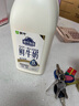 蒙?，F(xiàn)代牧場鮮牛奶 1.5L 巴氏殺菌乳 大桶裝 鮮牛奶早餐奶 蒙牛1.5L鮮牛奶*1桶 曬單實拍圖