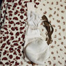 奶糖派大杯文胸經(jīng)典分胸型告白4.0收副乳防下垂內衣送女友 卡布奇諾·木瓜杯 90F 曬單實(shí)拍圖