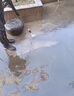 3AAA庭院清洗機花園院子超高壓水槍強力洗地洗墻家用大功率增壓洗車泵 1900W 3AAA-A產(chǎn)品，A性價比，A服務 曬單實拍圖