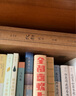 達洛衛(wèi)夫人 伍爾夫作品集 布面精裝版 上海譯文出版社 圖書 曬單實拍圖